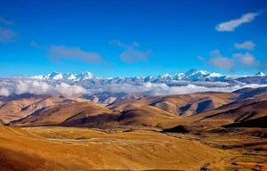 The Fight for Survival: Identifying the Threats to Tibet's Rare 'Living Fossil' Species - image 7