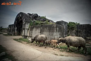 The Feng Shui Curse and the Mystery of the Ho Dynasty Citadel - image 2