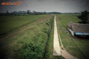 The Feng Shui Curse and the Mystery of the Ho Dynasty Citadel - image 7