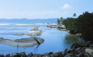 Vintage Phu Yen: A 1970-1971 Retrospective Through an American Lens - image 7