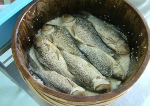 Funazushi: The Pungent Fermented Japanese Sushi That Intrigues Foodies - image 0