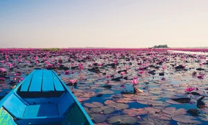 Hue Named Among the Top 8 Most Affordable Travel Destinations in Asia - image 1