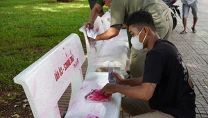 The Mystery of the Modified Benches: Overnight Changes in Vung Tau Spark Local Curiosity - image 3