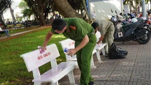 The Mystery of the Modified Benches: Overnight Changes in Vung Tau Spark Local Curiosity - image 2