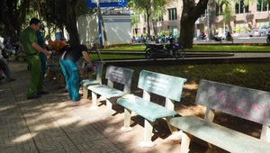 The Mystery of the Modified Benches: Overnight Changes in Vung Tau Spark Local Curiosity - image 1