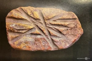 Discover the Ancient Secrets of Nhẫm Dương Temple: A Treasure Trove of Fossils and History - image 1