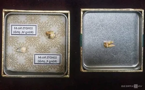 Discover the Ancient Secrets of Nhẫm Dương Temple: A Treasure Trove of Fossils and History - image 5