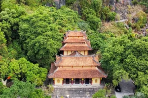 Discover the Ancient Secrets of Nhẫm Dương Temple: A Treasure Trove of Fossils and History - image 8