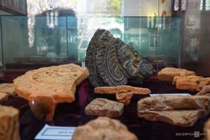 Discover the Ancient Secrets of Nhẫm Dương Temple: A Treasure Trove of Fossils and History - image 3