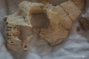 Discover the Ancient Secrets of Nhẫm Dương Temple: A Treasure Trove of Fossils and History - image 10