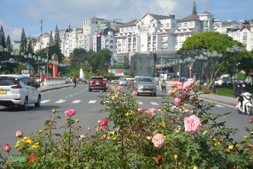 Da Lat: Discovering the Romantic Charm of Vietnam's City of Love