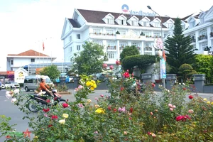 Da Lat: Discovering the Romantic Charm of Vietnam's City of Love - image 5
