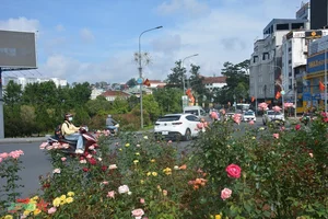 Da Lat: Discovering the Romantic Charm of Vietnam's City of Love - image 4