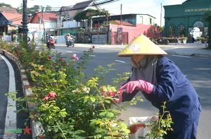 Da Lat: Discovering the Romantic Charm of Vietnam's City of Love - image 7