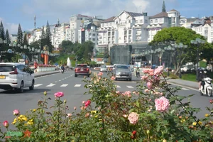 Da Lat: Discovering the Romantic Charm of Vietnam's City of Love - image 0