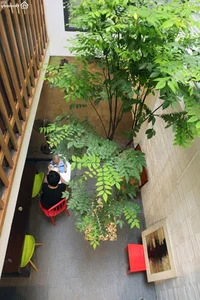 30 Innovative Mezzanine Designs for Small Townhouses with Greenery - image 18