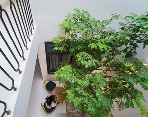 30 Innovative Mezzanine Designs for Small Townhouses with Greenery - image 10