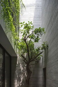 30 Innovative Mezzanine Designs for Small Townhouses with Greenery - image 5