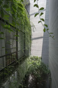 30 Innovative Mezzanine Designs for Small Townhouses with Greenery - image 12