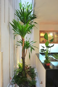 30 Innovative Mezzanine Designs for Small Townhouses with Greenery - image 8