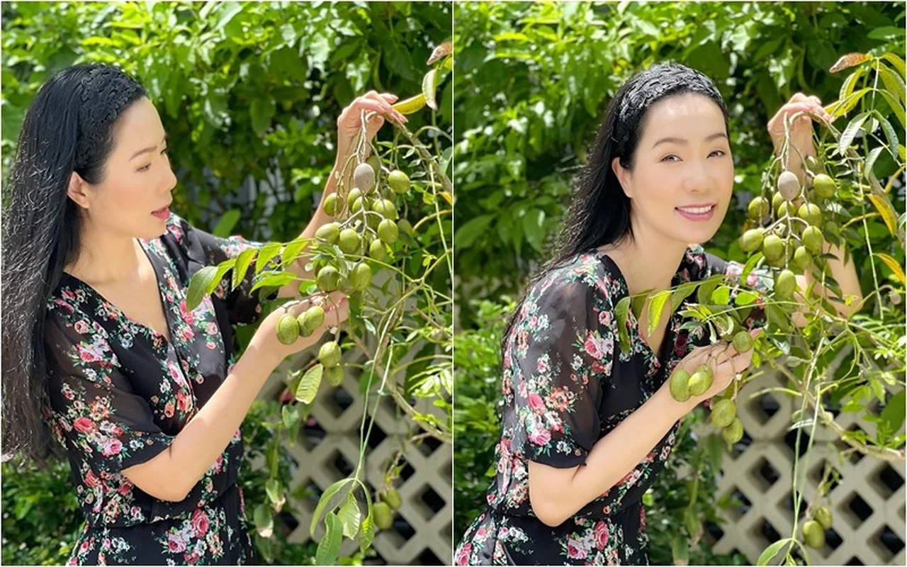 Inside the Stunning Villa of Vietnam's First Runner-Up to Become a People's Artist