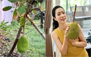 Inside the Stunning Villa of Vietnam's First Runner-Up to Become a People's Artist - image 3