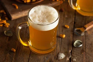 Discover the Oldest Foods in Human History Dating Back to 14,000 BC - image 1