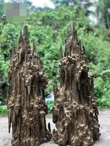 Fisherman Discovers Hidden Fortune Inside a Piece of Rotten Wood Found at Sea - image 4