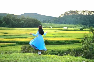 Mang Den Harvest Season: Cultural Stories from the Mo Nam People - image 7