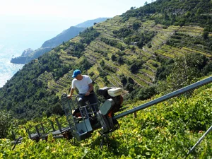 The Enchanting Beauty of Cinque Terre on Italy's Ligurian Coast - image 3