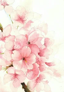 Elegant Cherry Blossom Paintings: Beautiful Peach Blossom Art for Modern Homes - image 18