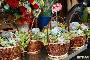 Ho Chi Minh City's Largest Flower Market Buzzes with Activity Ahead of October 20th - image 10