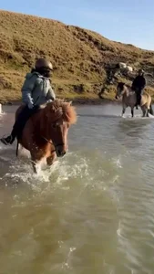 Chris Hemsworth Shares Magical Iceland Adventure with Daughter India Rose - image 3