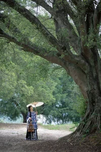 Timeless Elegance: Xin Xin in YiTuYu Art Language Vol.8883 - image 31