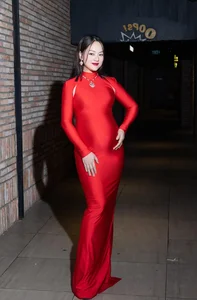 Vietnamese Actress Lan Phuong Radiates Beauty During Second Pregnancy - image 1