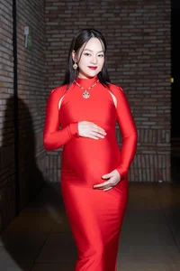 Vietnamese Actress Lan Phuong Radiates Beauty During Second Pregnancy - image 0