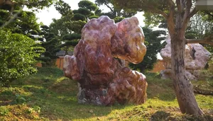 Exploring the Massive 2-Hectare Ornamental Tree and Art Stone Garden of FPT's Vice Chairman - image 9