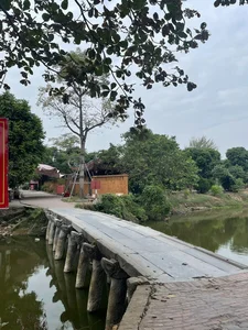 Discover Nom Pagoda: A Cultural and Spiritual Gem in Hung Yen - image 3