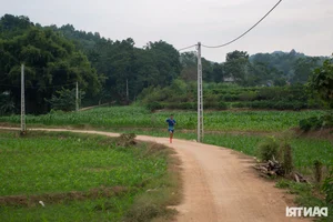 The Farmer's Marathon Dream: Chasing Glory on the Vietnamese Running Circuit - image 4