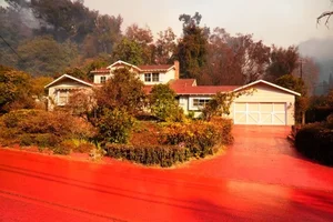 The Science of Pink Fire Retardant Powder in Wildfire Fighting - image 4