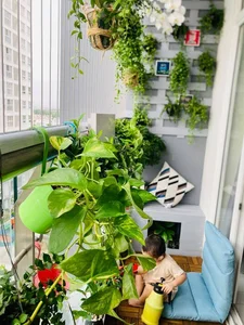 20 Simple Balcony Decoration Ideas for 2026: Create Your Own Healing Sanctuary - image 2