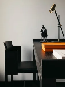 Christian Liaigre Style: How One Tangris Cabinet Transformed a Singaporean Home - image 2