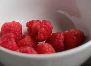 The 1 Million VND per KG Wild Forest Berry: A Hidden Superfood - image 0