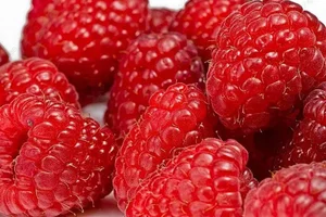 The 1 Million VND per KG Wild Forest Berry: A Hidden Superfood - image 3