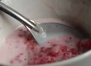 The 1 Million VND per KG Wild Forest Berry: A Hidden Superfood - image 5