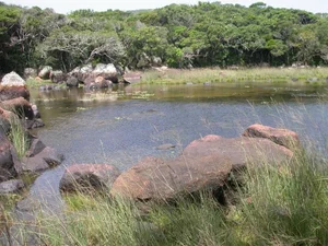 Exploring Nui Chua National Park: Vietnam's Pristine Ecological Treasure - image 13