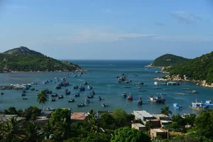 Exploring Nui Chua National Park: Vietnam's Pristine Ecological Treasure - image 10