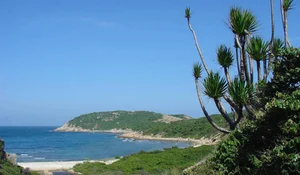 Exploring Nui Chua National Park: Vietnam's Pristine Ecological Treasure - image 11