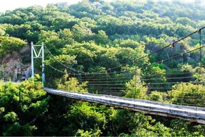 Exploring Nui Chua National Park: Vietnam's Pristine Ecological Treasure - image 15