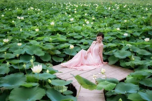The Ultimate Guide to the Lotus Blooming Season at Hang Mua, Ninh Binh - image 4